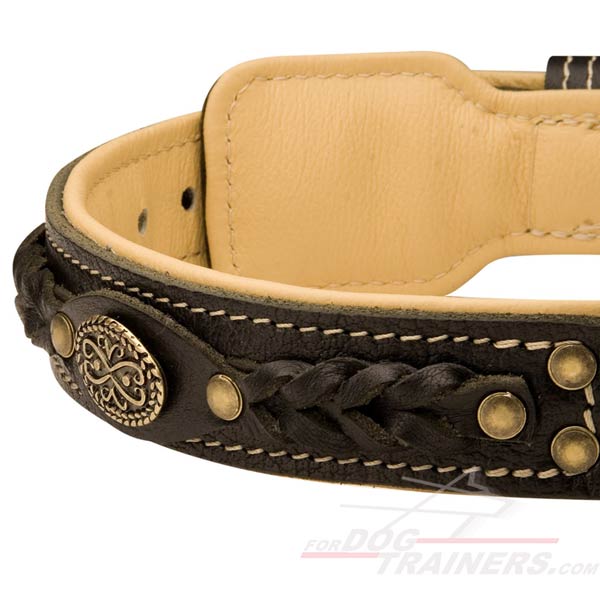 Super Comfy Leather Dog Collar