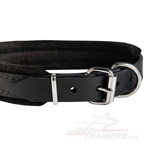 Nickel Fittings of Leather Training Dog Collar