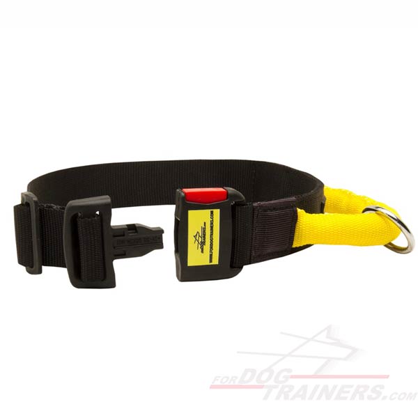 Nylon Collar with strong quick release buckle