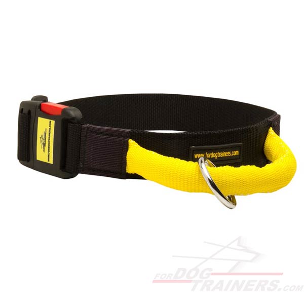 Easy in Use Nylon Dog Collar