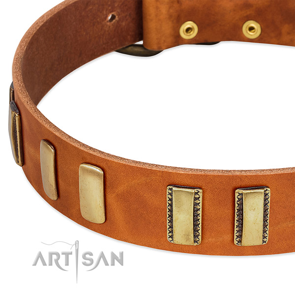 Rust Resistant Old Bronze-like Plated Fittings on Tan Leather Dog Collar