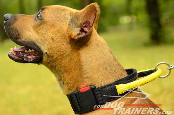 Nylon Pitbull Collar with Handle for Better Control