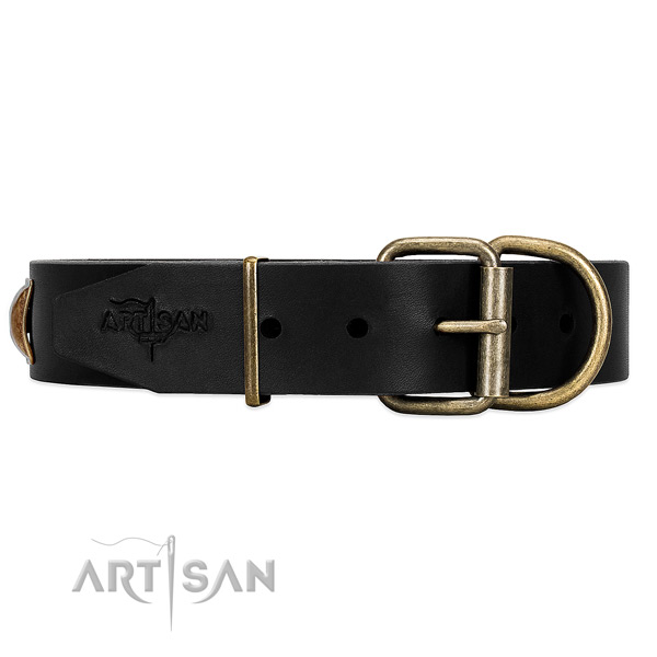 Black Dog Collar with Rust-proof Hardware for Daily Control