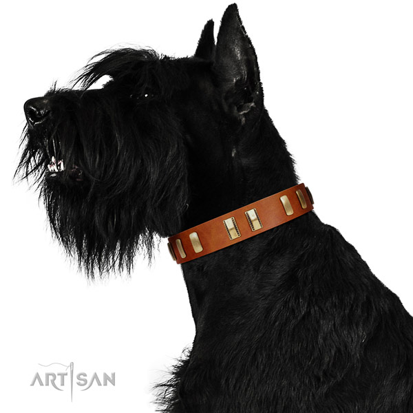 Riesenschnauzer fancy walking dog collar of natural leather