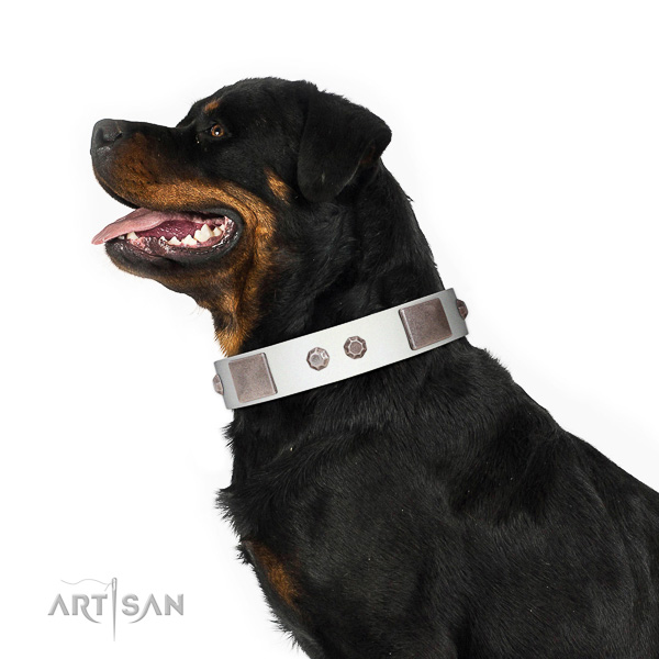 Tremendous Rottweiler Collar of Selected Leather