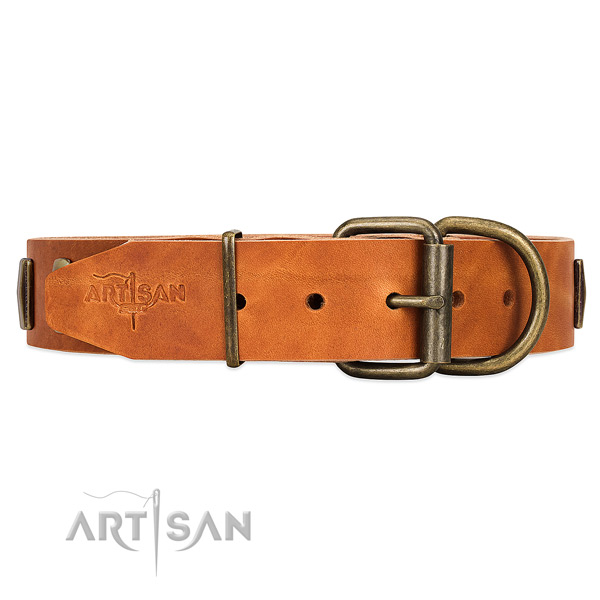 Comfy tan leather dog collar with duly riveted fittings