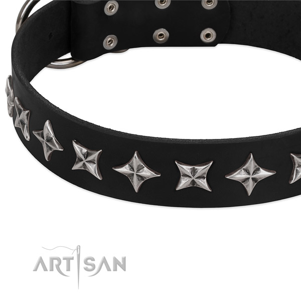 Matchless chrome-plated stars on FDT Artisan leather dog collar