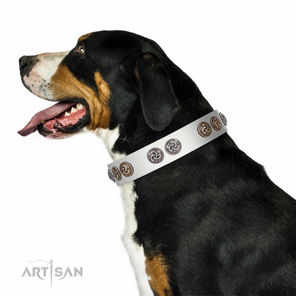 Swiss Mountain Dog comfortable genuine leather dog collar with studs
