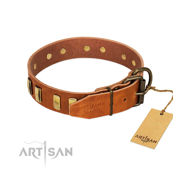 Exclusive tan leather dog collar for daily use