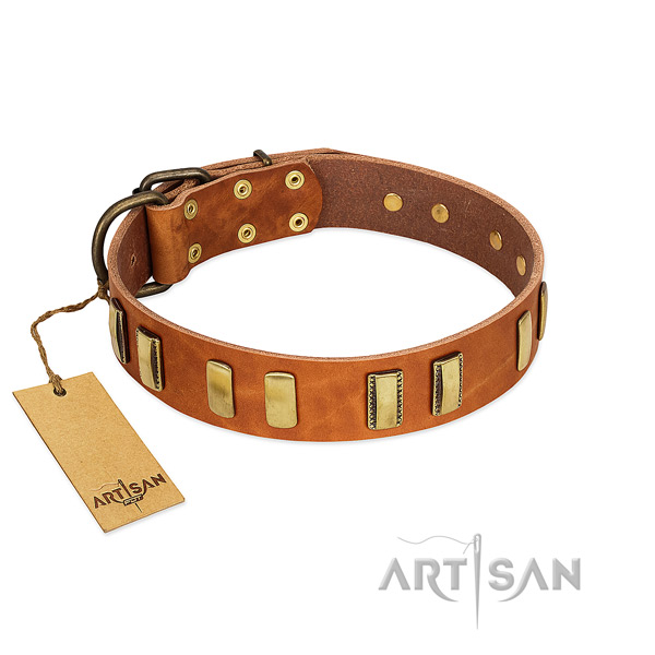 Tan leather dog collar for comfortable daily walks