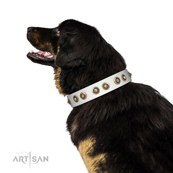 Decorated White Leather Tibetian Mastiff Collar with Durable Old-bronze Plated Hardware