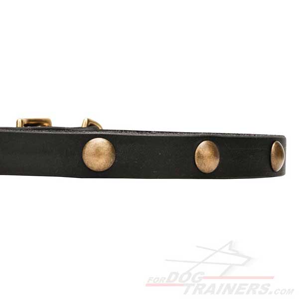 Dog collar made of strong genuine leather