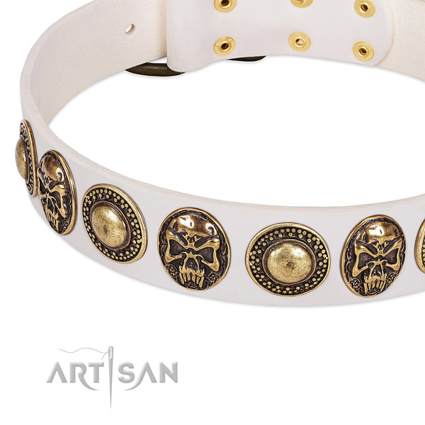 White Leather Dog Collar with Conchos and Medallions for Everyday Walking