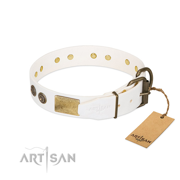 Smoothed Leather Dog Collar with Riveted Strong Hardware