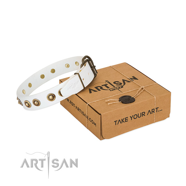 Top Quality Dog Collar for Stylish Outings
