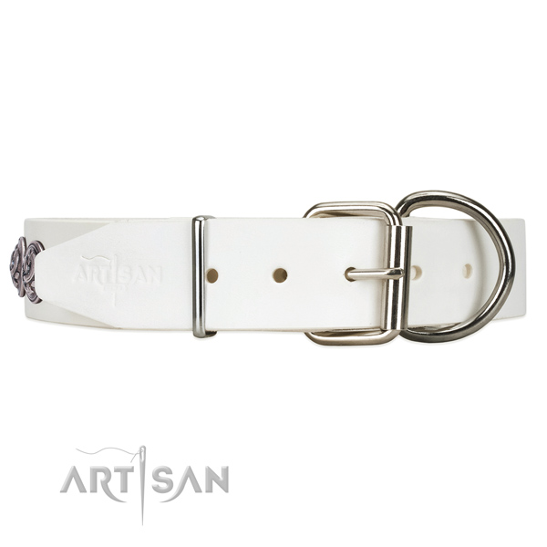 White leather dog collar with a traditional buckle for reliable fastening