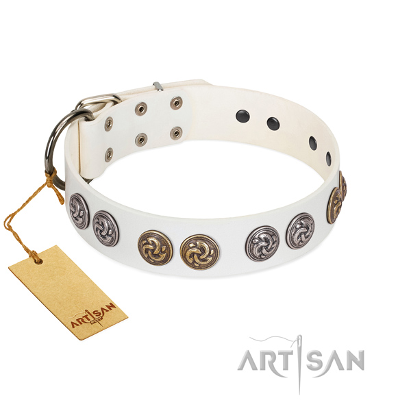 White leather dog collar with round studs