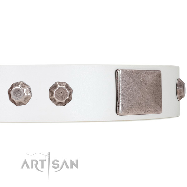 Reliably Set Decorations on White Leather Dog Collar