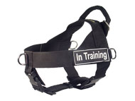 dog harness