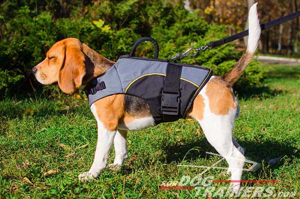 Comfortable Beagle Vest