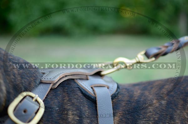 Durable D-Ring on Dog Harness Leather Decorated Chest