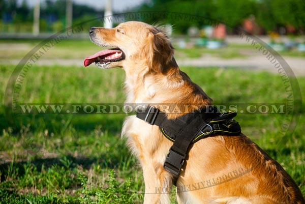 Any Weather Canine Harness for Large and Medium Breed Dogs
