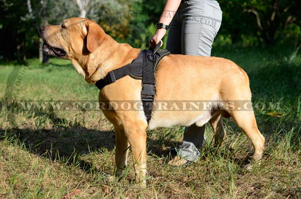 Easy Adjustable Nylon Canine Harness with Quick to Lock Buckle