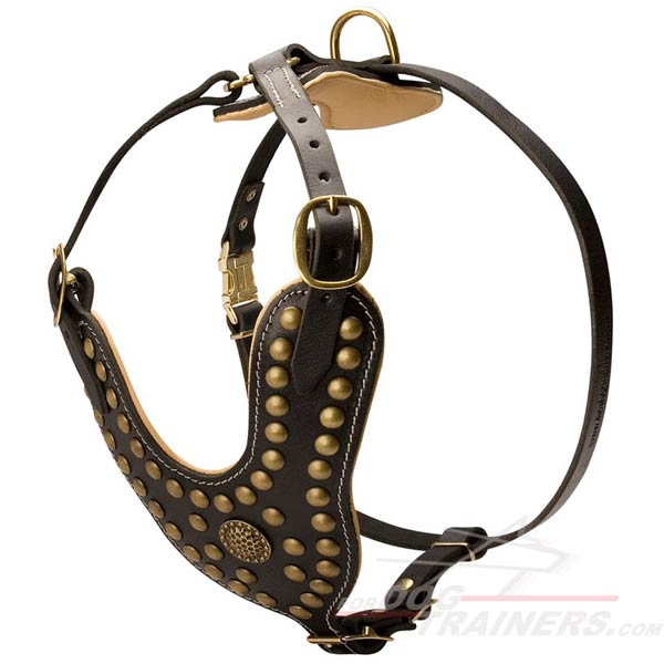 Nappa Leather Padded Dog Harness