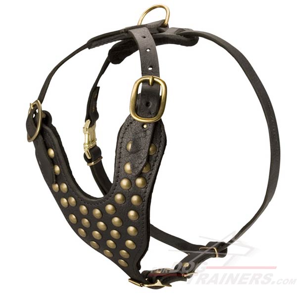 Fashion Leather Canine Harness with Adjustable Straps
