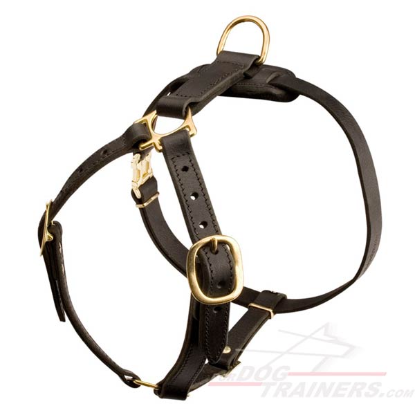 Best Tracking Leather Dog Harness