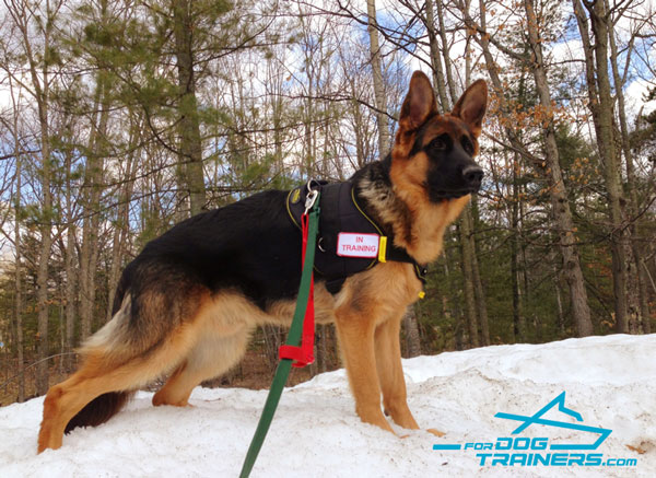 Nylon Dog Harness for Any Purpose Your German Shepherd Needs