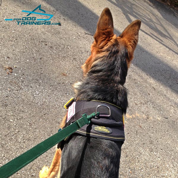 German Shepherd harness with comfortable handle for better control