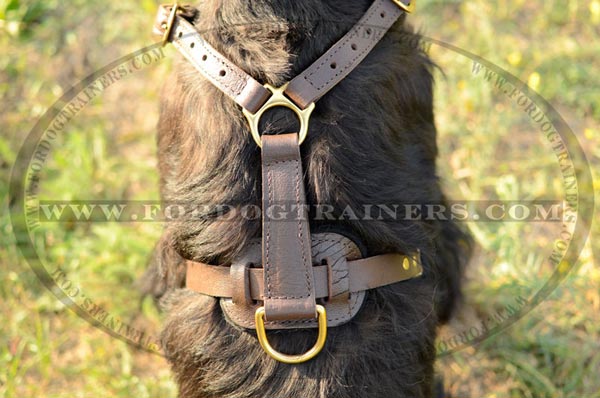 Tracking Leather Dog Harness for Riesenschnauzers