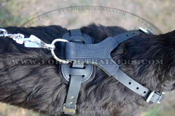 Spiked Dog Harness for Training and Walking