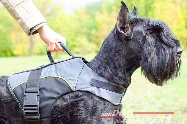 Rehabilitation Riesenschnauzer Vest with Be in Control Handle