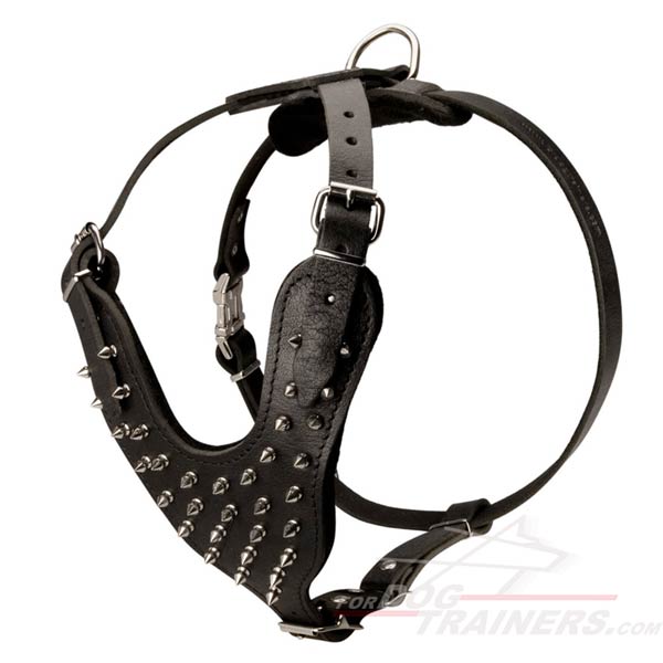 Excellent Harness for Daily Wearing