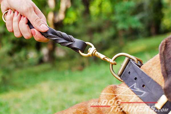 Strong Short Dog Leash