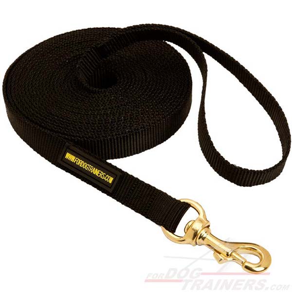 Reliable Any Weather Nylon Leash for Active Dogs