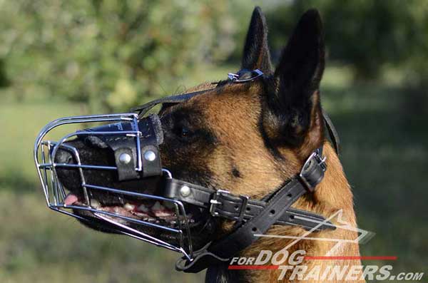 Wire Basket Dog Muzzle Easy Adjustable