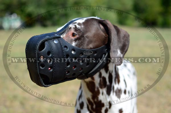 Adjustable Hard Leather Muzzle for Training and Walking