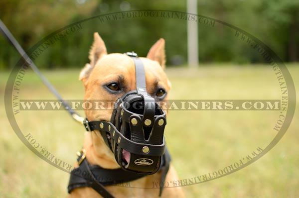 Leather Basket Pitbull Muzzle for Walking and Training