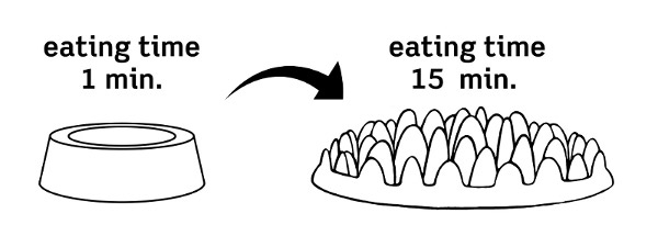 Illustration of Pet Feeder - Healthy Bite