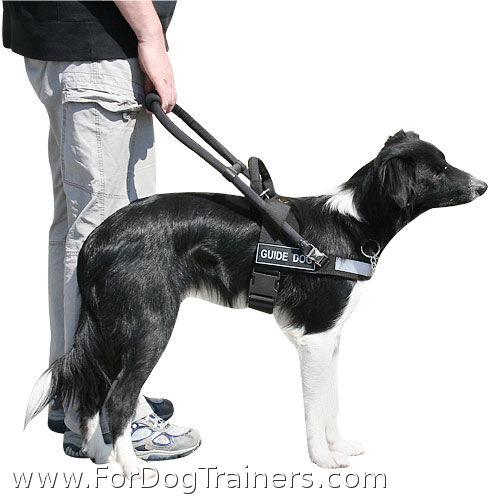 Highly Functional Dog Assistance Harness