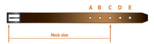 Sizing Diagram for Buckle Collars