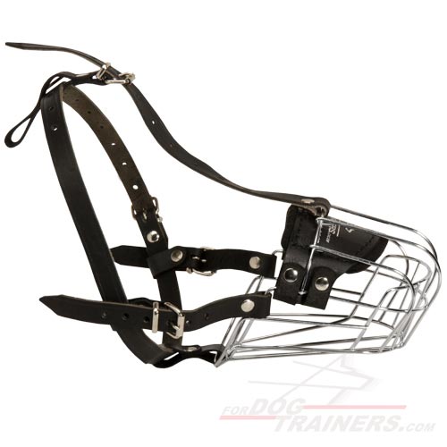 Wire Basket Dog Muzzles (All Sizes)