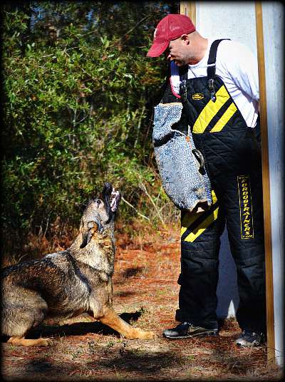 Pro Bite Protection Training Set - Bite Sleeve, Removable Cover, Bamboo Stick, a PRESENT - Extra Cover for FREE