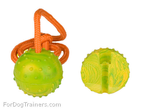 Medium Training Dog Ball on String - TT1