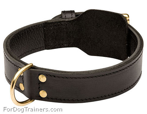 Leather trainig dog  collar extra strong