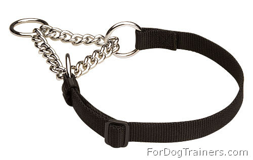 HS Nylon Martingale Dog Collar