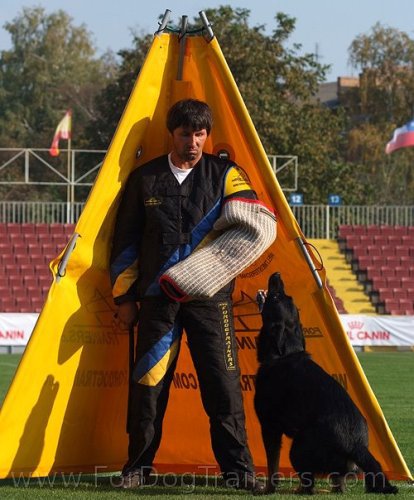 Schutzhund training standart blind